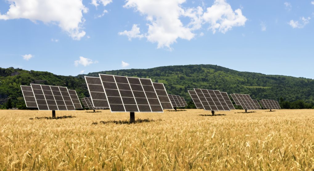Il Fotovoltaico Intelligente di Proteo Engineering: Movimentazione Automatizzata ad Inseguimento Solare